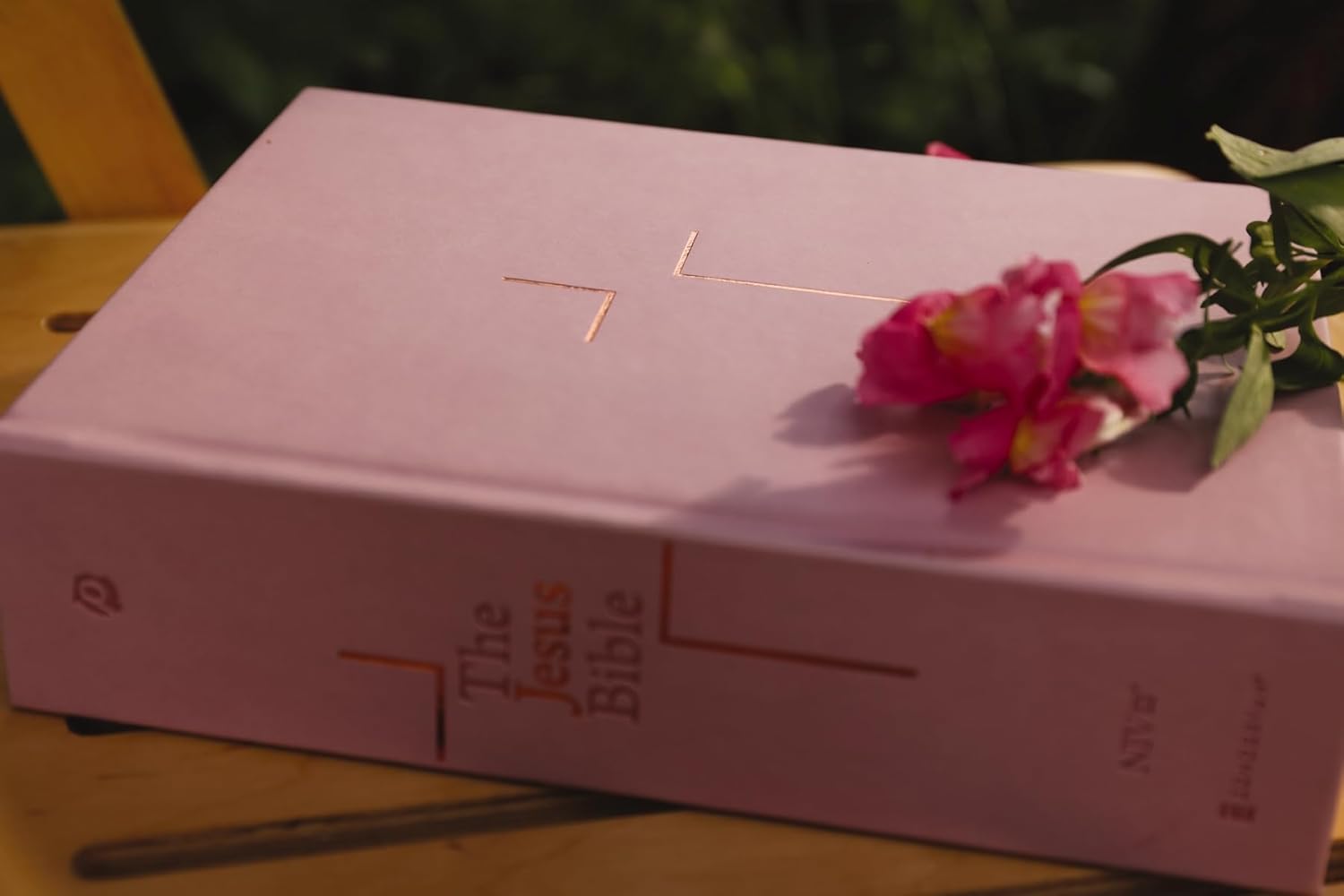 The Jesus Bible, NIV Edition, Leathersoft over Board, Pink, Comfort Print