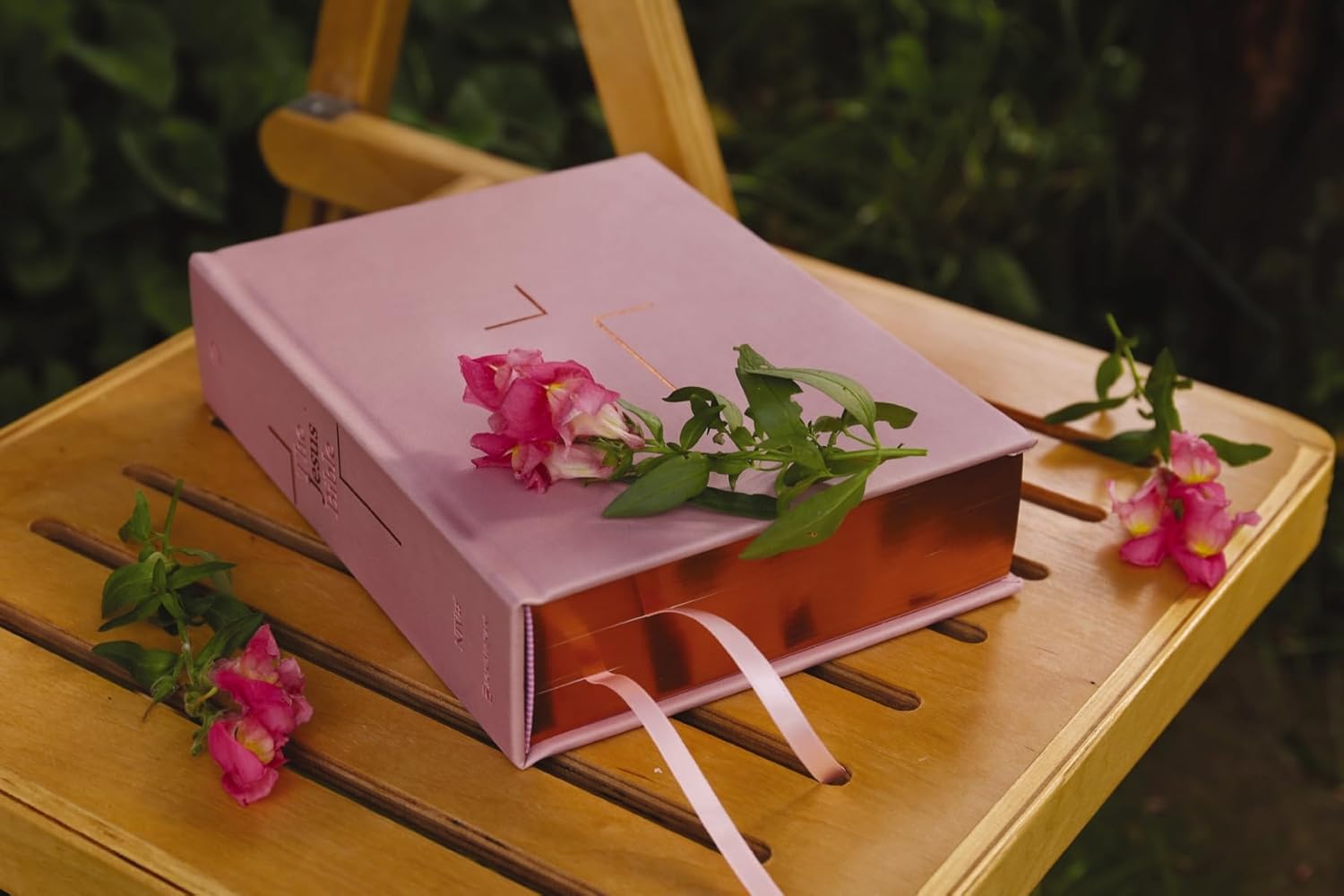 The Jesus Bible, NIV Edition, Leathersoft over Board, Pink, Comfort Print