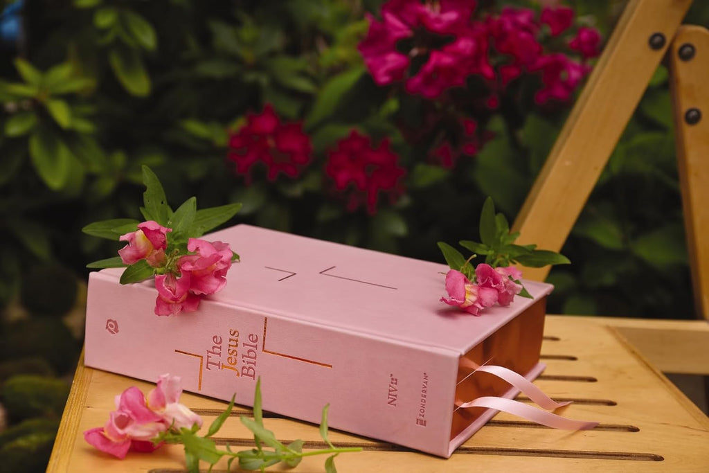 The Jesus Bible, NIV Edition, Leathersoft over Board, Pink, Comfort Print