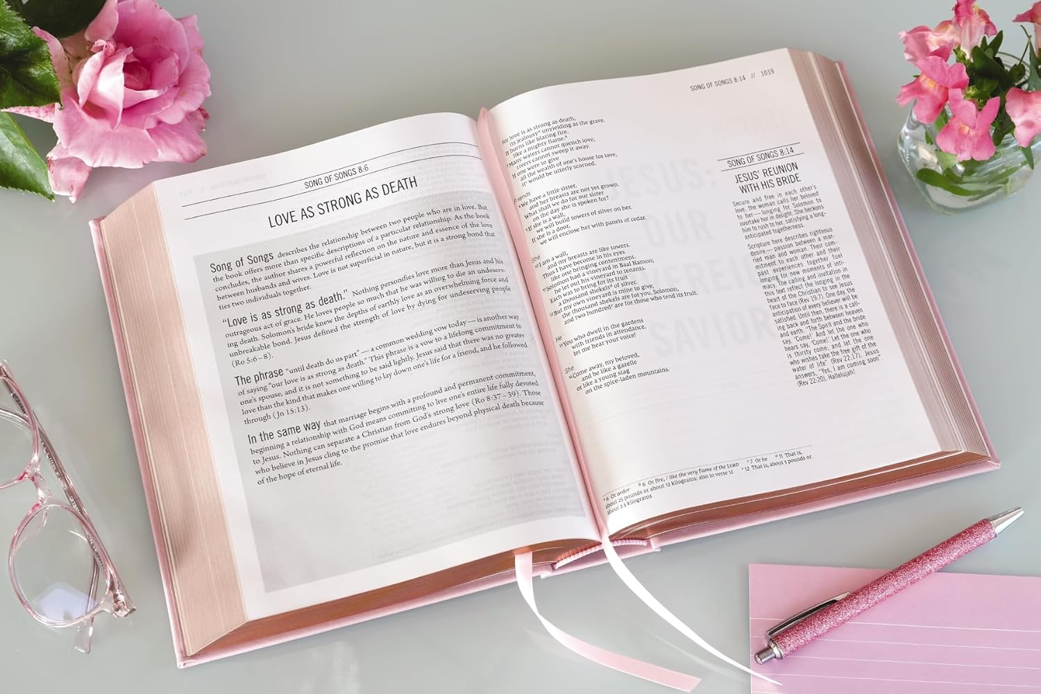 The Jesus Bible, NIV Edition, Leathersoft over Board, Pink, Comfort Print