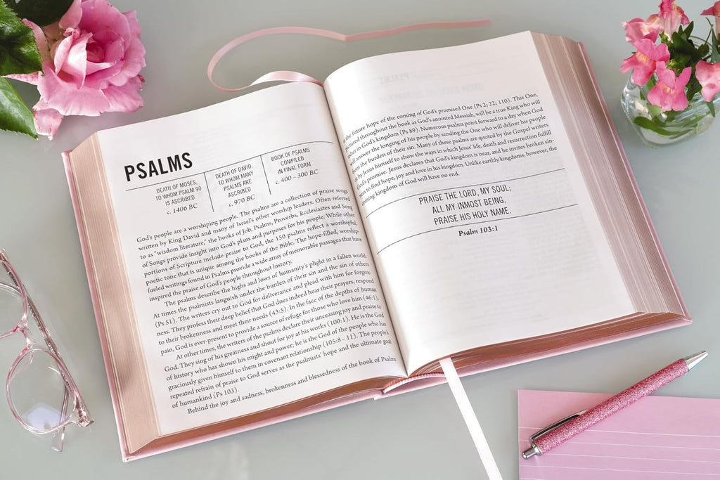 The Jesus Bible, NIV Edition, Leathersoft over Board, Pink, Comfort Print