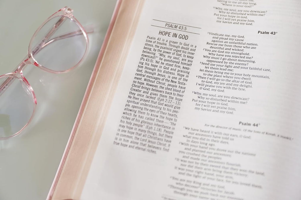 The Jesus Bible, NIV Edition, Leathersoft over Board, Pink, Comfort Print