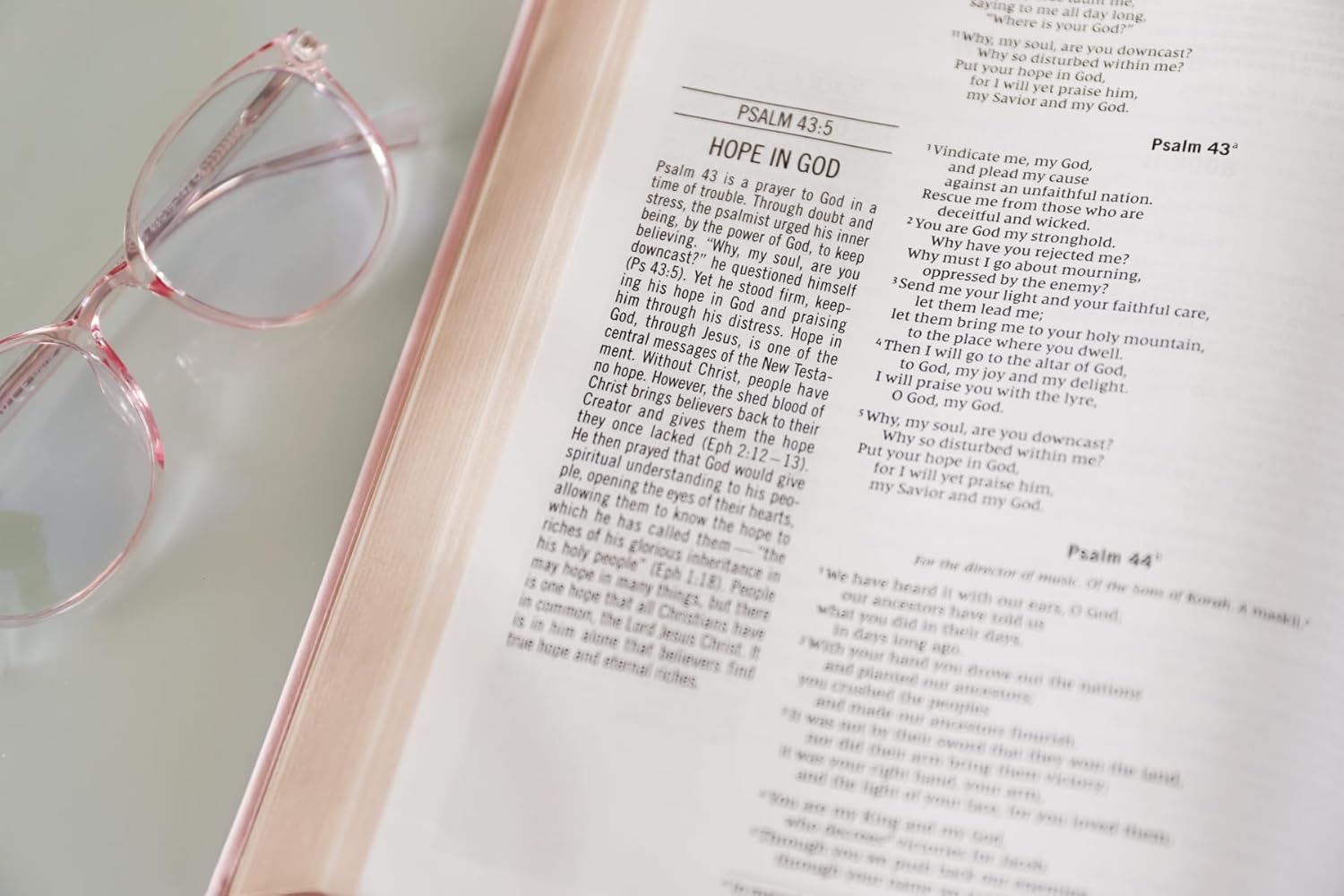 The Jesus Bible, NIV Edition, Leathersoft over Board, Pink, Comfort Print